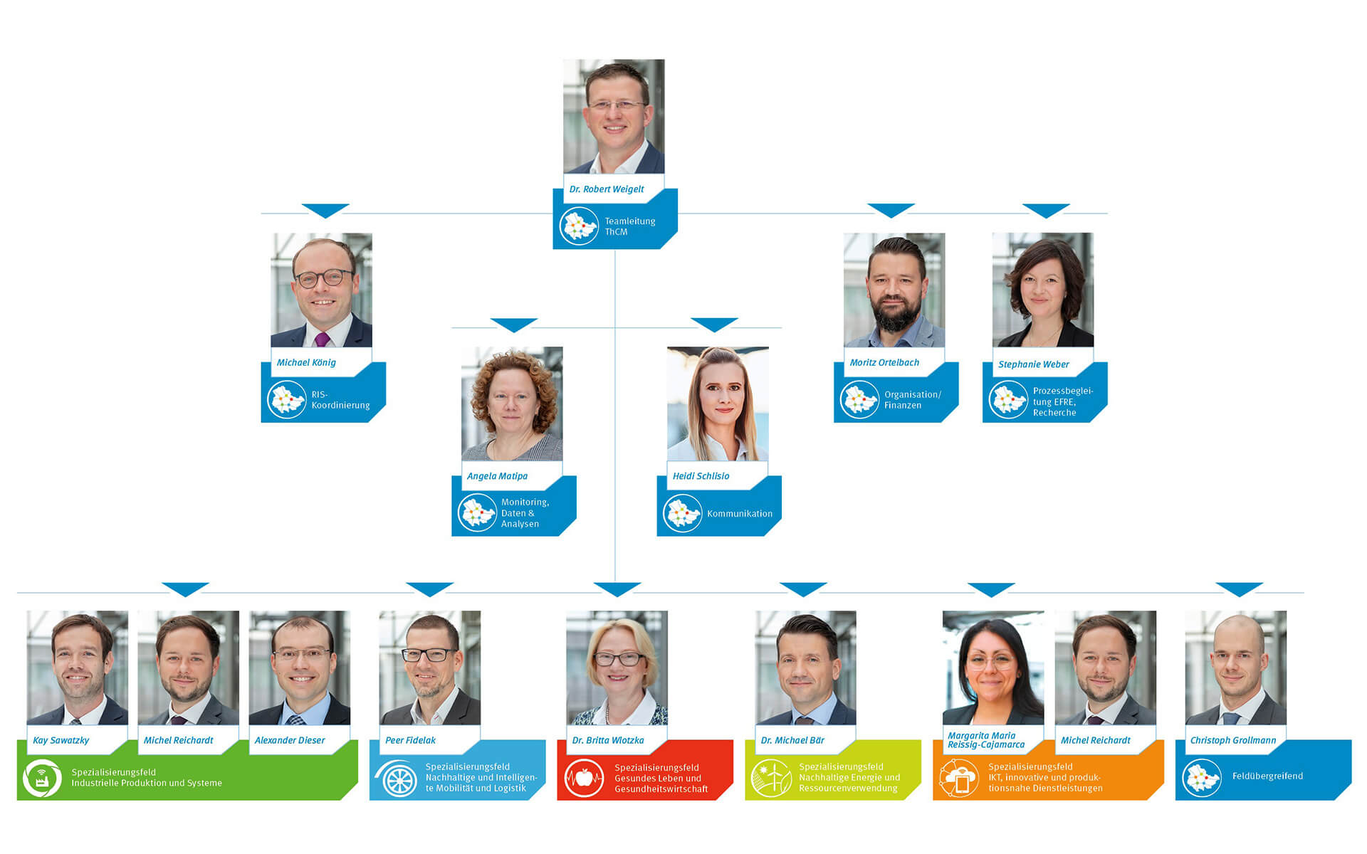 ThCM organisational chart